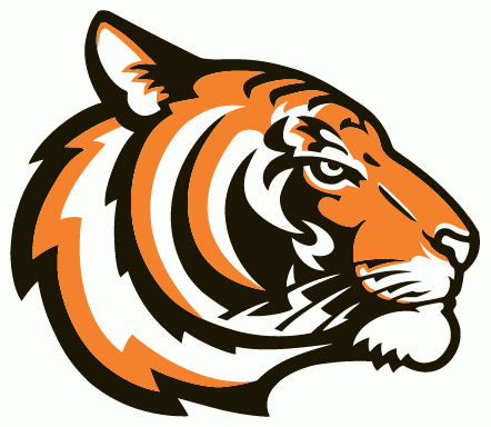 Princeton Tigers 2003-Pres Alternate Logo v2 iron on transfers for clothing